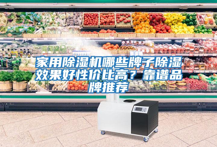 家用除濕機(jī)哪些牌子除濕效果好性價比高？靠譜品牌推薦