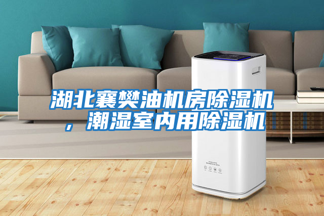 湖北襄樊油機房除濕機，潮濕室內用除濕機