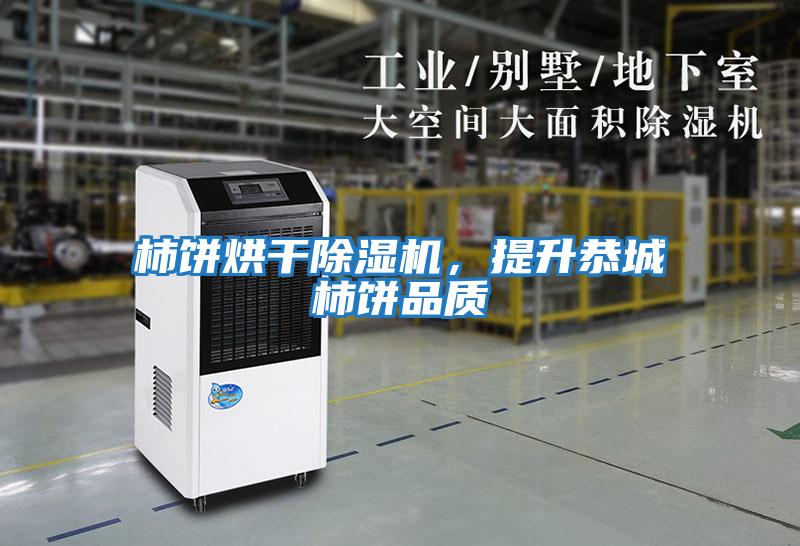 柿餅烘干除濕機，提升恭城柿餅品質
