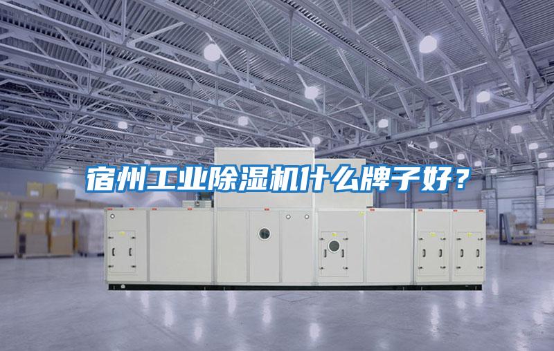 宿州工業除濕機什么牌子好？