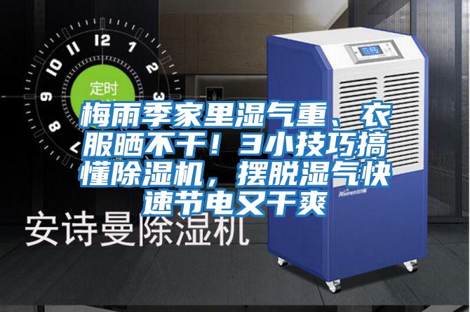 梅雨季家里濕氣重、衣服曬不干！3小技巧搞懂除濕機，擺脫濕氣快速節電又干爽