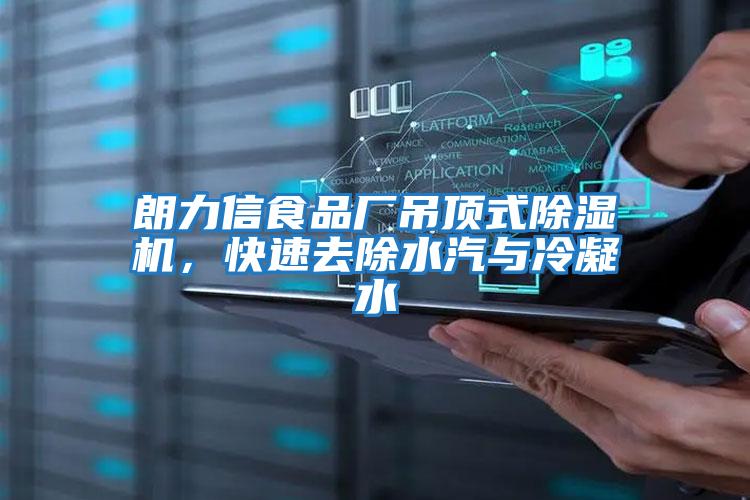 朗力信食品廠吊頂式除濕機，快速去除水汽與冷凝水