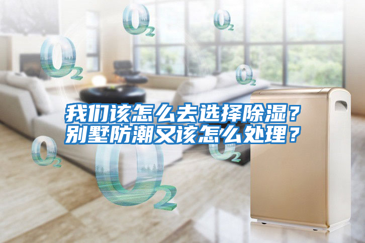 我們該怎么去選擇除濕？別墅防潮又該怎么處理？