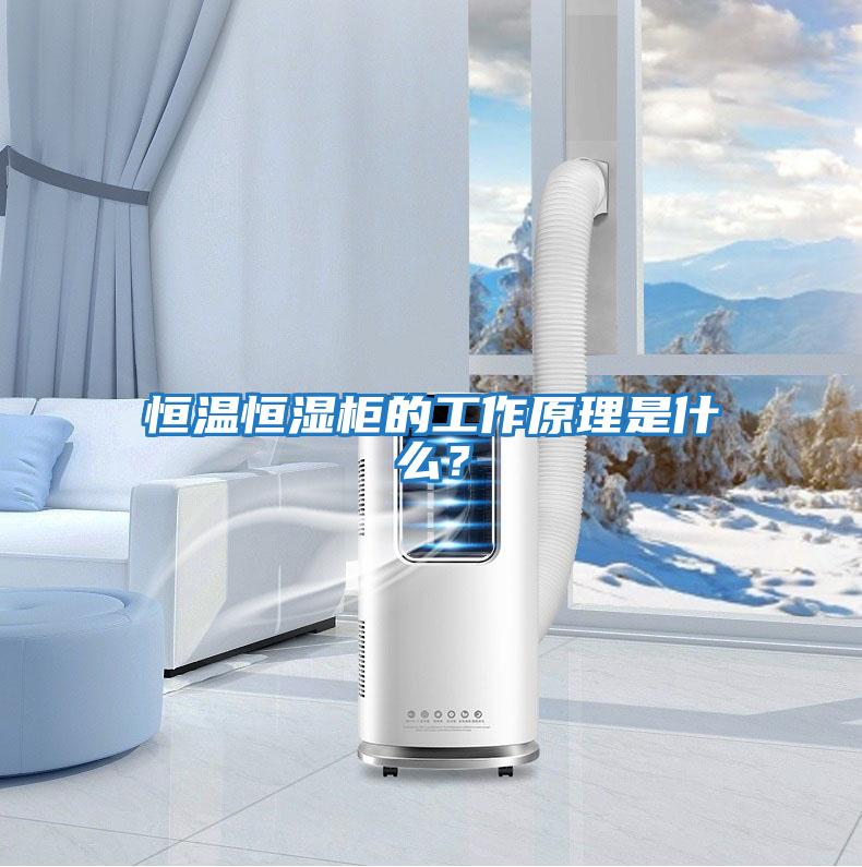 恒溫恒濕柜的工作原理是什么?