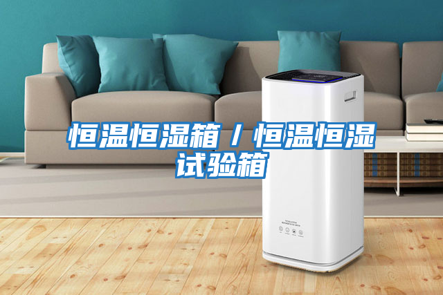 恒溫恒濕箱/恒溫恒濕試驗箱