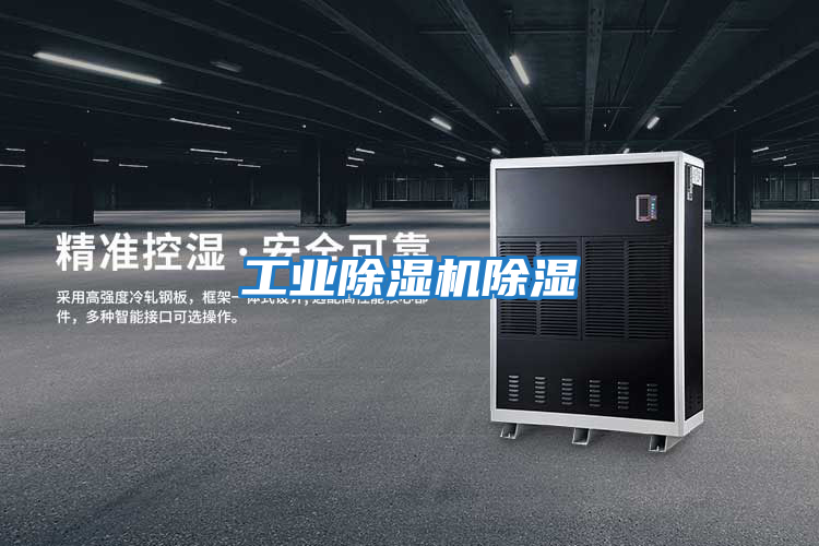 工業除濕機除濕