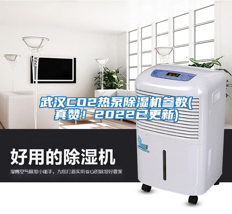 武漢CO2熱泵除濕機參數(真贊！2022已更新)