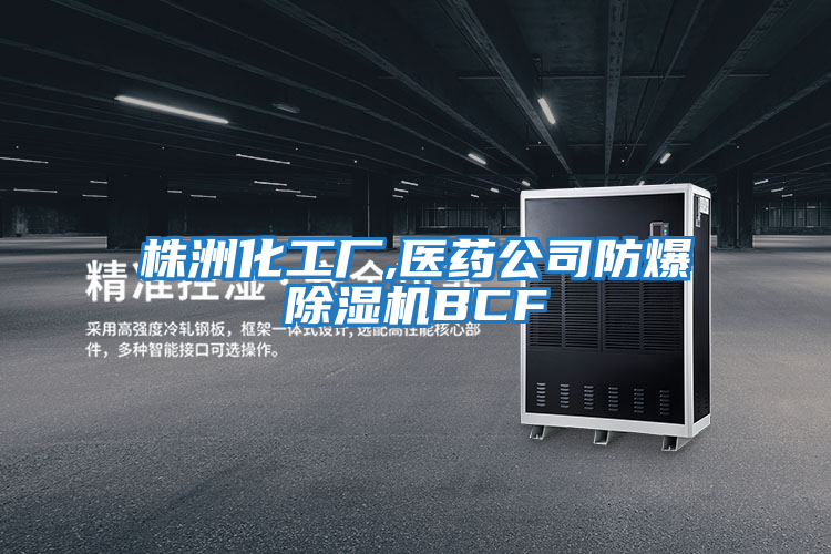 株洲化工廠,醫藥公司防爆除濕機BCF