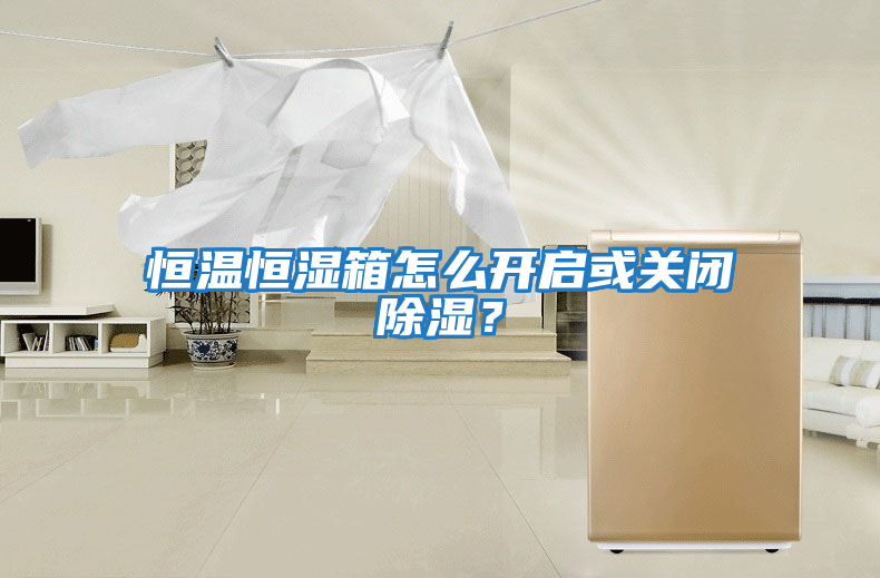 恒溫恒濕箱怎么開啟或關(guān)閉除濕？