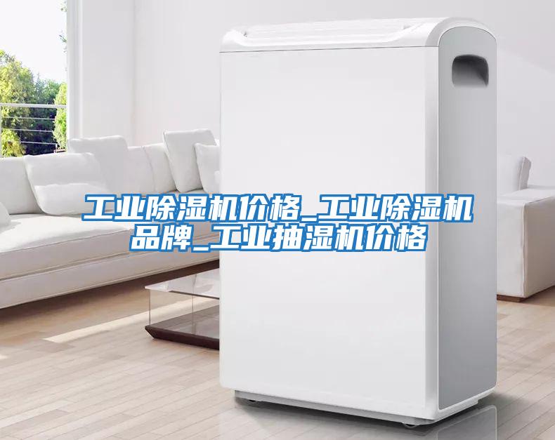 工業除濕機價格_工業除濕機品牌_工業抽濕機價格