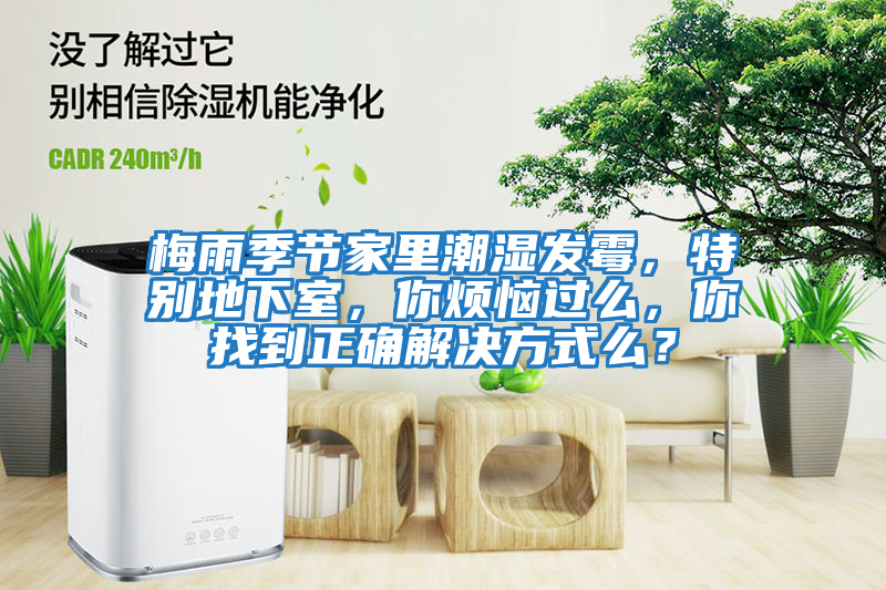 梅雨季節家里潮濕發霉，特別地下室，你煩惱過么，你找到正確解決方式么？