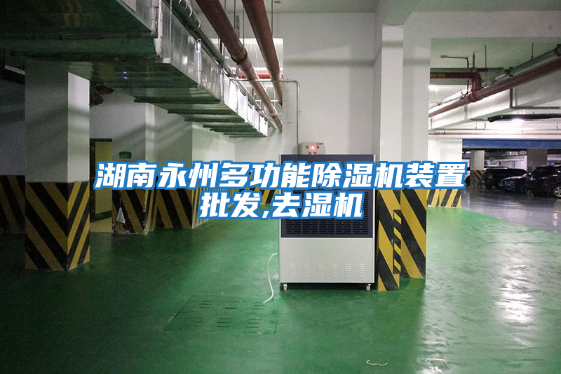 湖南永州多功能除濕機裝置批發,去濕機