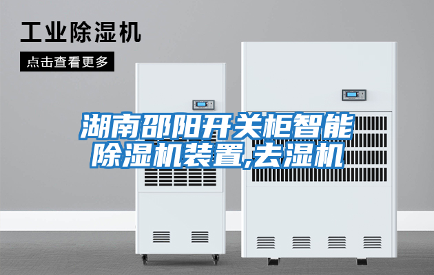 湖南邵陽(yáng)開關(guān)柜智能除濕機(jī)裝置,去濕機(jī)
