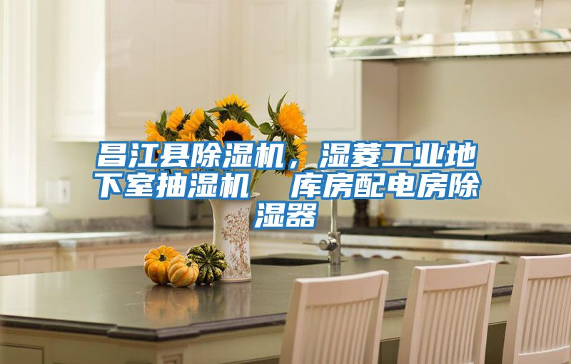 昌江縣除濕機，濕菱工業地下室抽濕機  庫房配電房除濕器