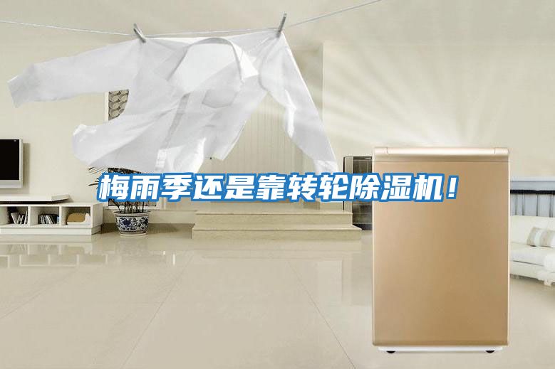 梅雨季還是靠轉輪除濕機！