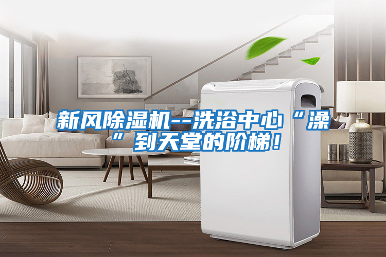新風除濕機--洗浴中心“澡”到天堂的階梯！