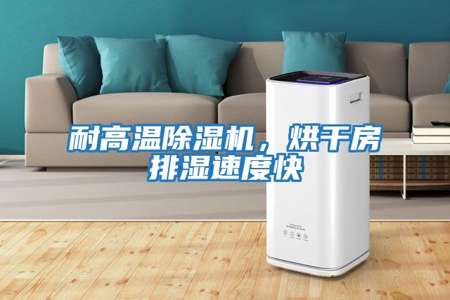 耐高溫除濕機，烘干房排濕速度快