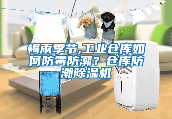 梅雨季節,工業倉庫如何防霉防潮？倉庫防潮除濕機