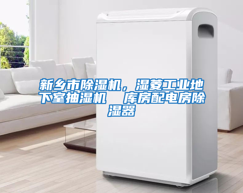 新鄉(xiāng)市除濕機(jī)，濕菱工業(yè)地下室抽濕機(jī)  庫房配電房除濕器