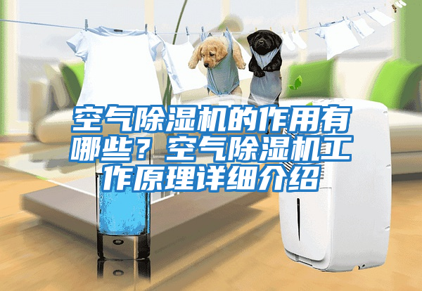 空氣除濕機的作用有哪些？空氣除濕機工作原理詳細介紹