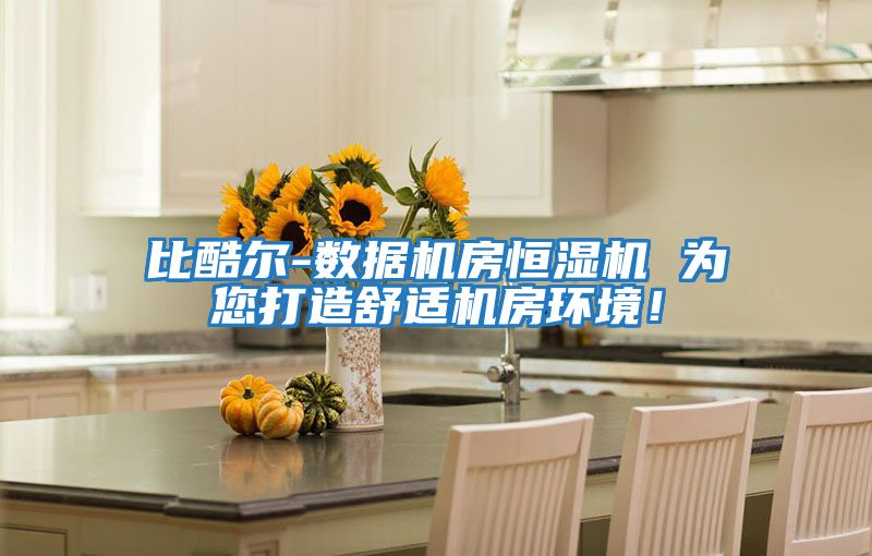 比酷爾-數據機房恒濕機 為您打造舒適機房環境！