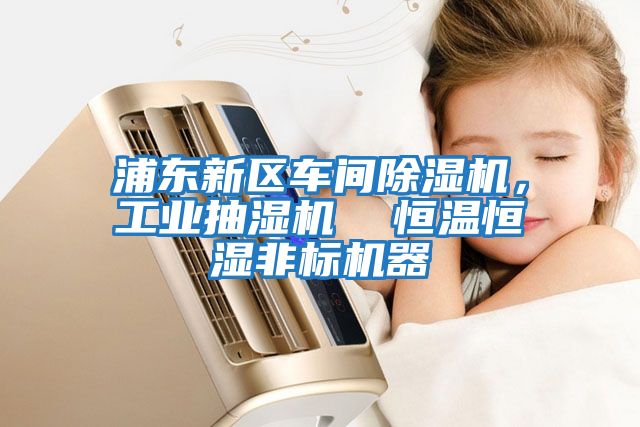 浦東新區(qū)車間除濕機(jī)，工業(yè)抽濕機(jī)  恒溫恒濕非標(biāo)機(jī)器