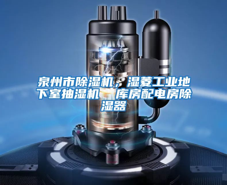 泉州市除濕機,濕菱工業(yè)地下室抽濕機 庫房配電房除濕器