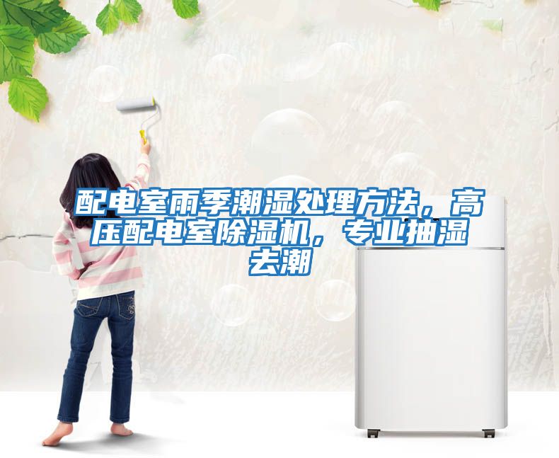 配電室雨季潮濕處理方法，高壓配電室除濕機(jī)，專業(yè)抽濕去潮