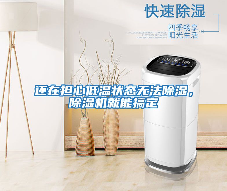 還在擔心低溫狀態無法除濕，除濕機就能搞定