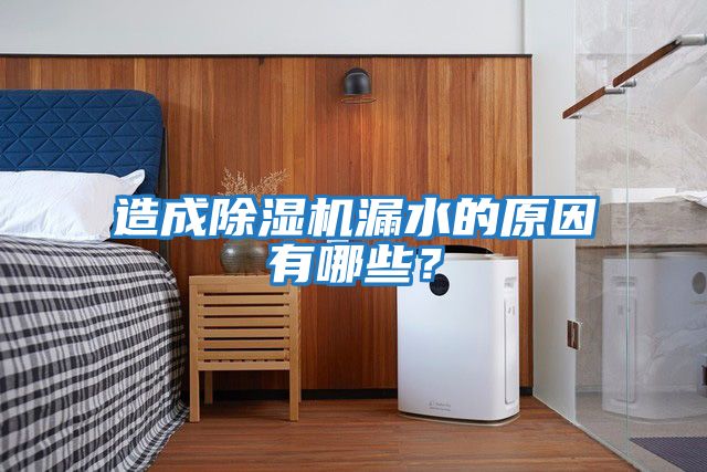 造成除濕機漏水的原因有哪些？
