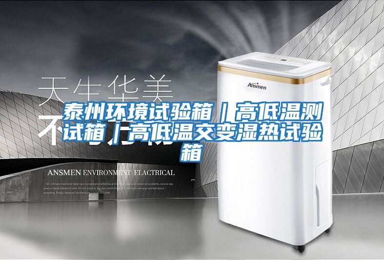 泰州環(huán)境試驗箱|高低溫測試箱|高低溫交變濕熱試驗箱