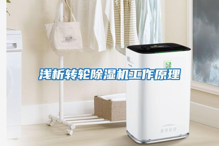 淺析轉輪除濕機工作原理