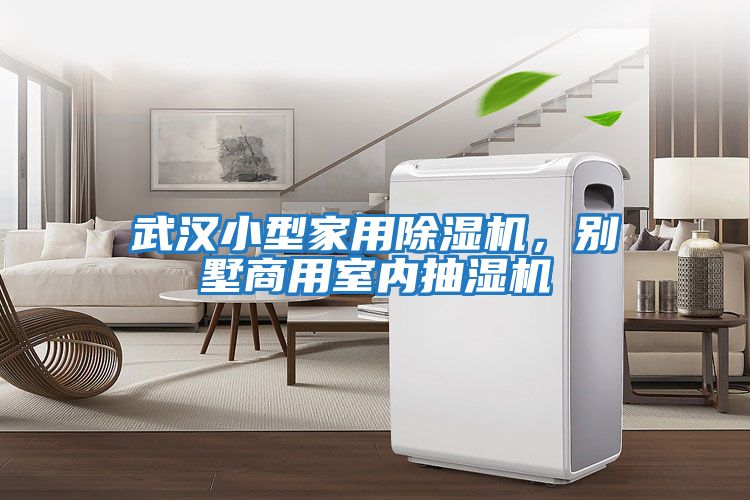 武漢小型家用除濕機，別墅商用室內抽濕機