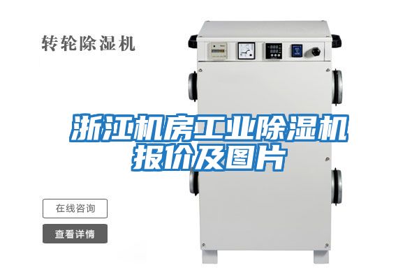浙江機房工業除濕機報價及圖片
