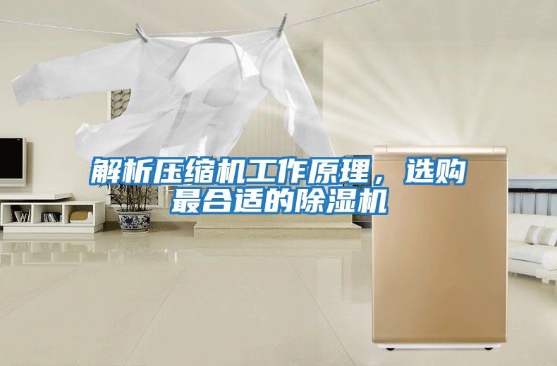 解析壓縮機(jī)工作原理，選購(gòu)最合適的除濕機(jī)
