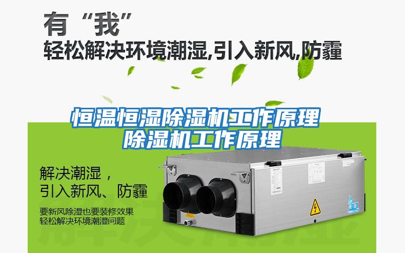 恒溫恒濕除濕機工作原理 除濕機工作原理
