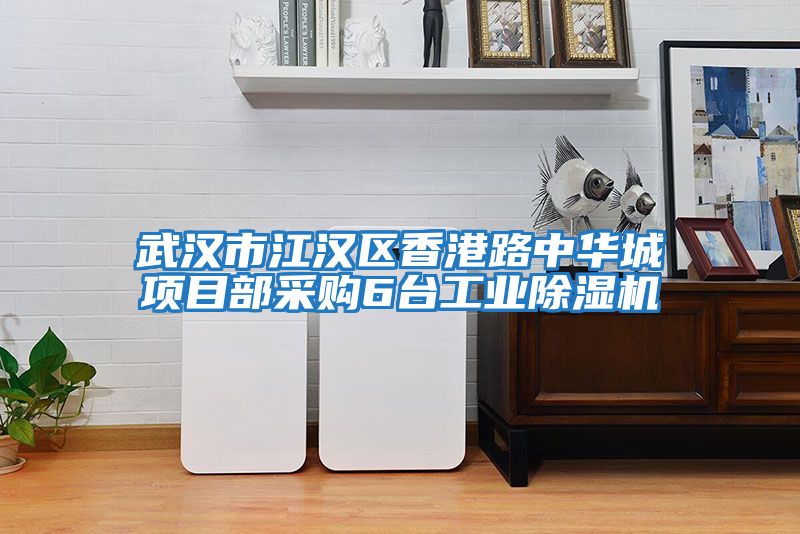 武漢市江漢區香港路中華城項目部采購6臺工業除濕機