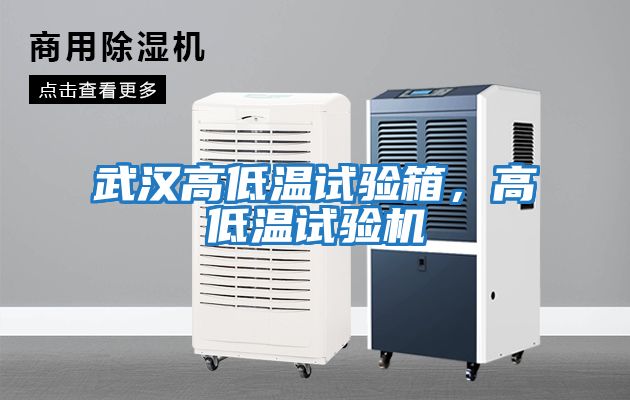武漢高低溫試驗箱，高低溫試驗機