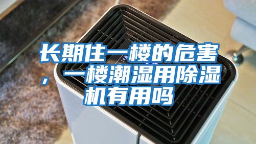 長期住一樓的危害，一樓潮濕用除濕機有用嗎
