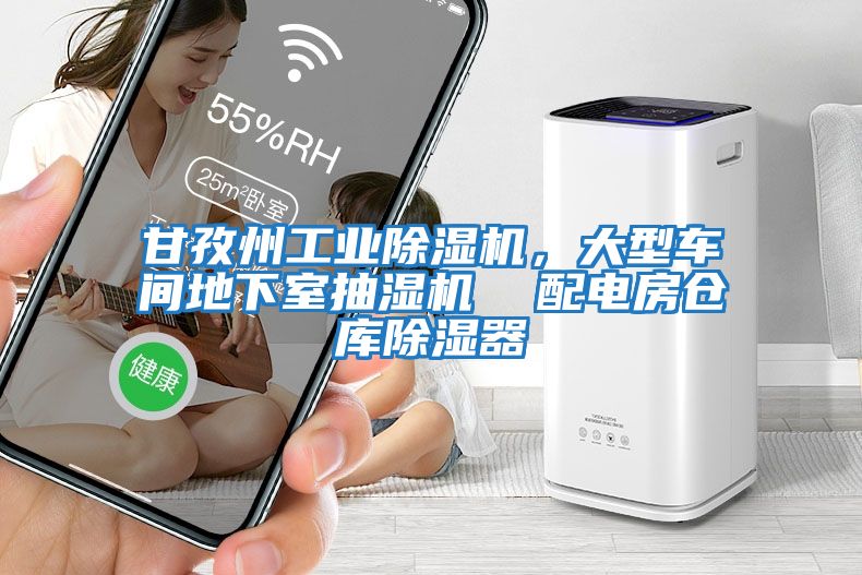 甘孜州工業除濕機，大型車間地下室抽濕機  配電房倉庫除濕器