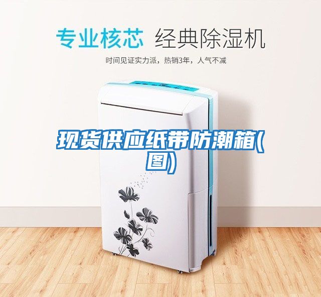 現貨供應紙帶防潮箱(圖)