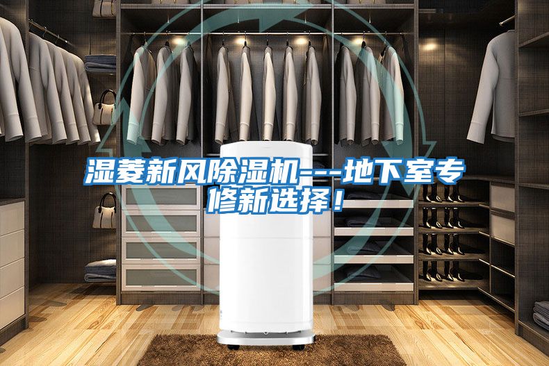 濕菱新風除濕機---地下室專修新選擇！