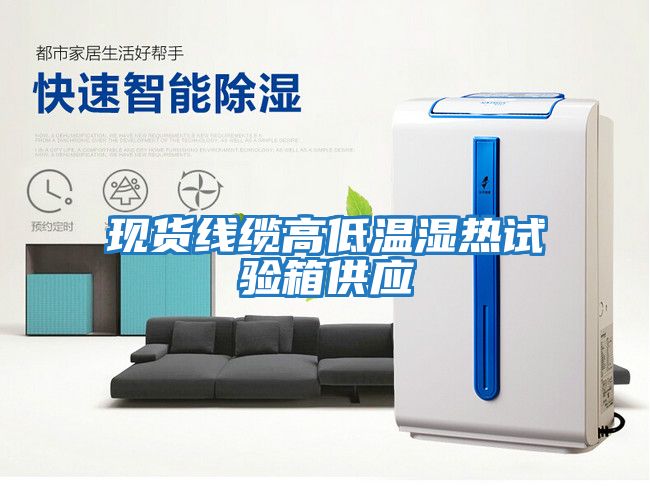 現貨線纜高低溫濕熱試驗箱供應