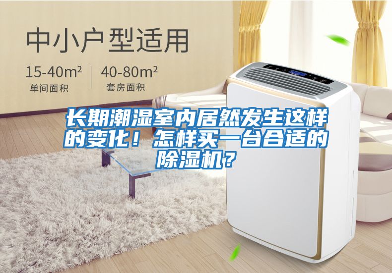 長期潮濕室內居然發生這樣的變化！怎樣買一臺合適的除濕機？