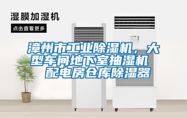 漳州市工業(yè)除濕機(jī)，大型車間地下室抽濕機(jī)  配電房倉(cāng)庫(kù)除濕器