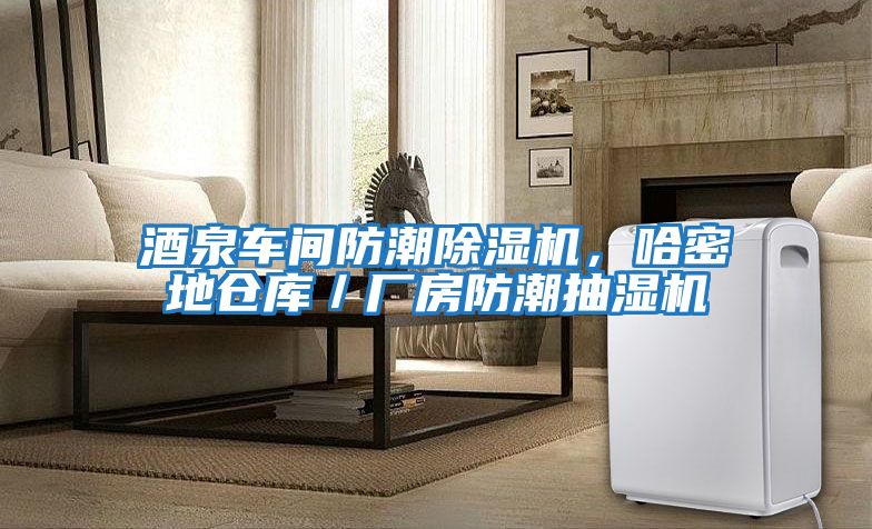 酒泉車間防潮除濕機，哈密地倉庫／廠房防潮抽濕機