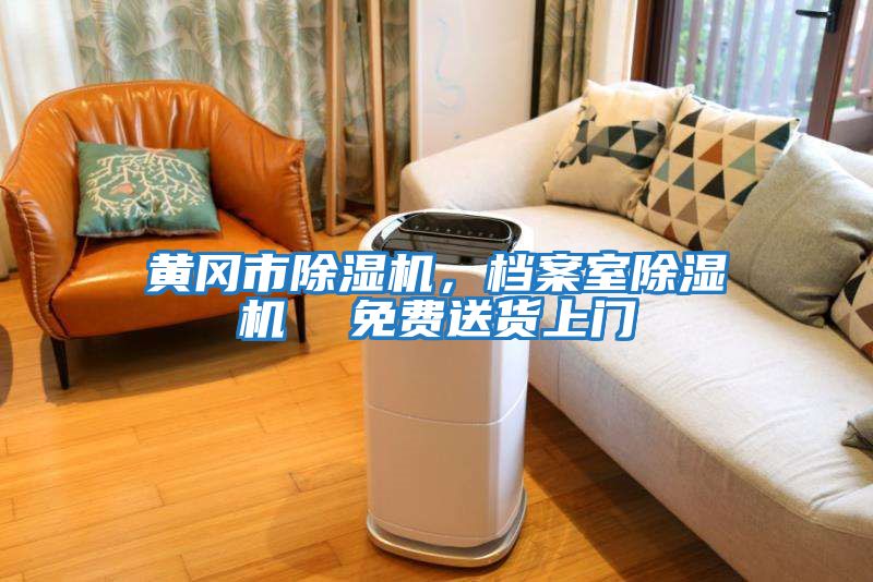 黃岡市除濕機，檔案室除濕機  免費送貨上門