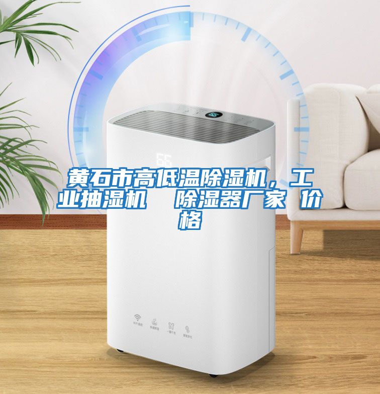 黃石市高低溫除濕機，工業抽濕機  除濕器廠家 價格