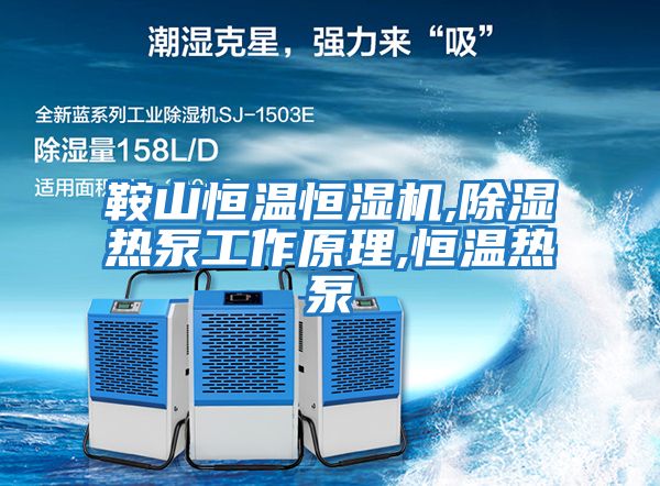 鞍山恒溫恒濕機(jī),除濕熱泵工作原理,恒溫?zé)岜?></div>
								<div   id=