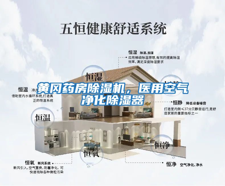 黃岡藥房除濕機，醫用空氣凈化除濕器